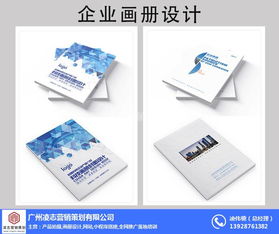 凌志營銷策劃 專業(yè)企業(yè)畫冊設(shè)計(jì)與軟件開發(fā)服務(wù)